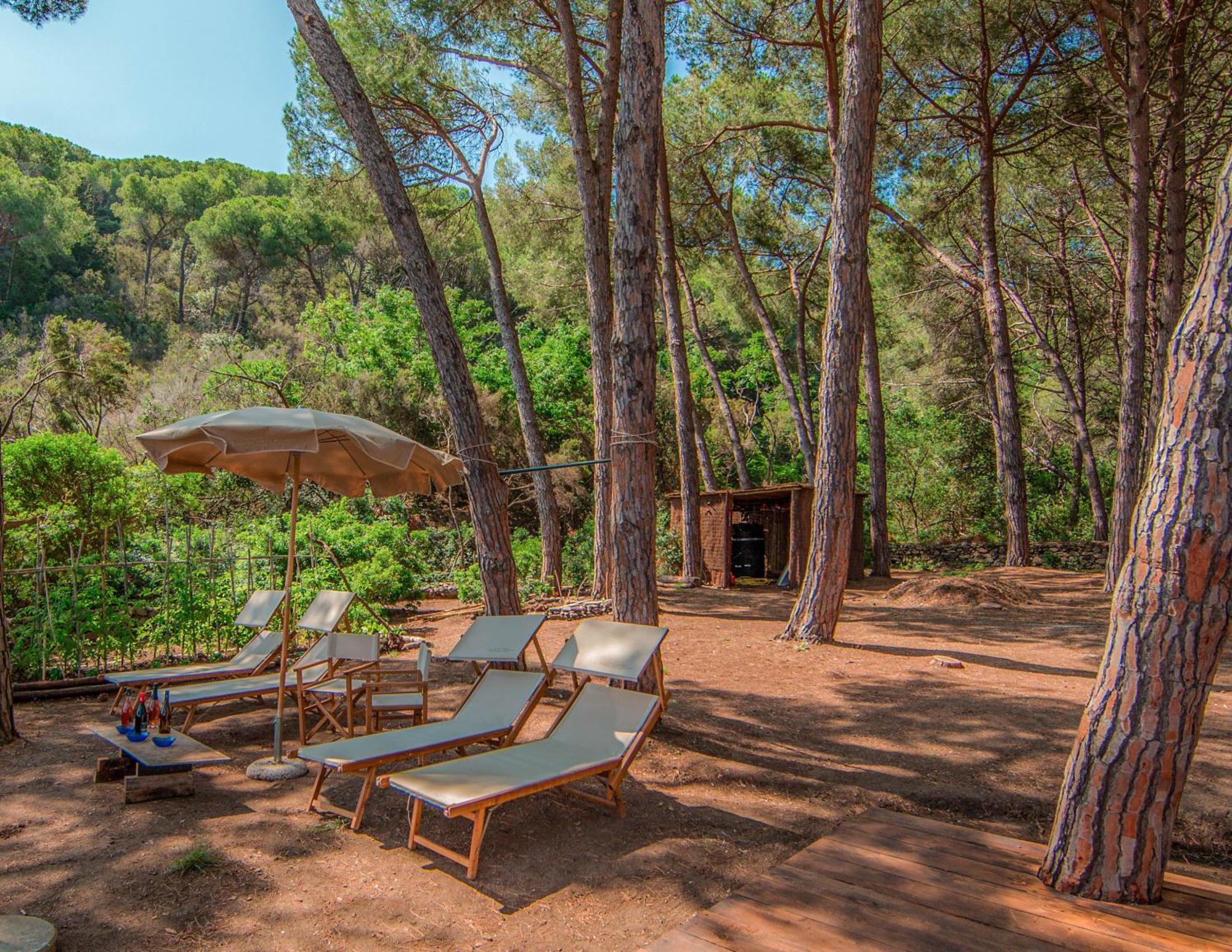 Tenuta Delle Ripalte Каполивери Экстерьер фото